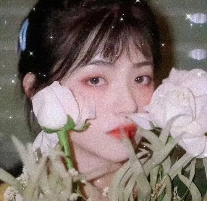 婉丽