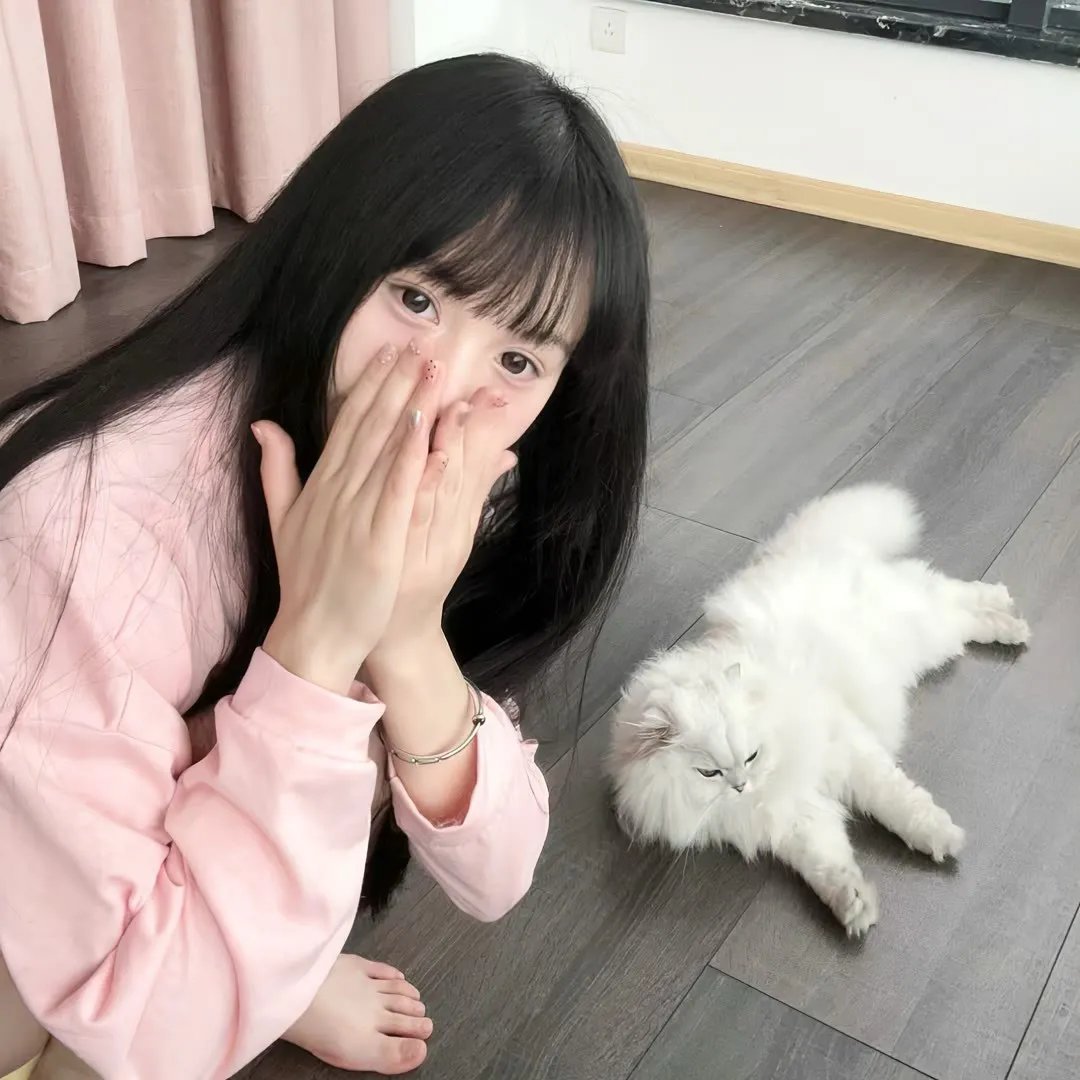 卡美洛