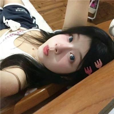 我的会长大人
